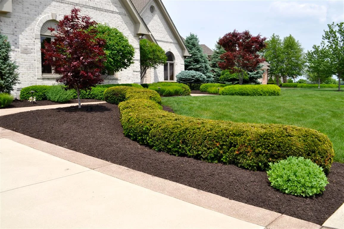 Brown Mulch